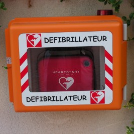 Defibrylator dla Brańszczyka